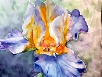 Berber Otten-Kempe - Iris Aquarel