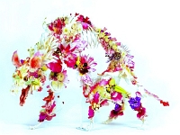Cedric Laquieze - Sculptuur 1