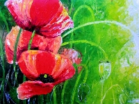 Dirk van Someren 2