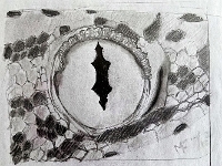 Loes Fijen - Grafiet tekening van een slang