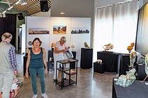 INRICHTEN EXPO DE ADELAAR - 015 - Foto Harro Smit