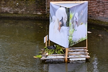 WATERPROJECT 2021 - 005 - Foto Harro Smit